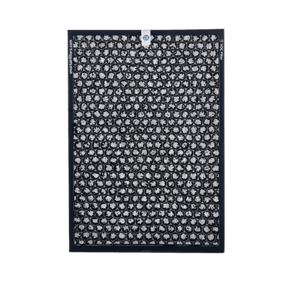 SA600 Carbon Filter (2-Pack) image 0