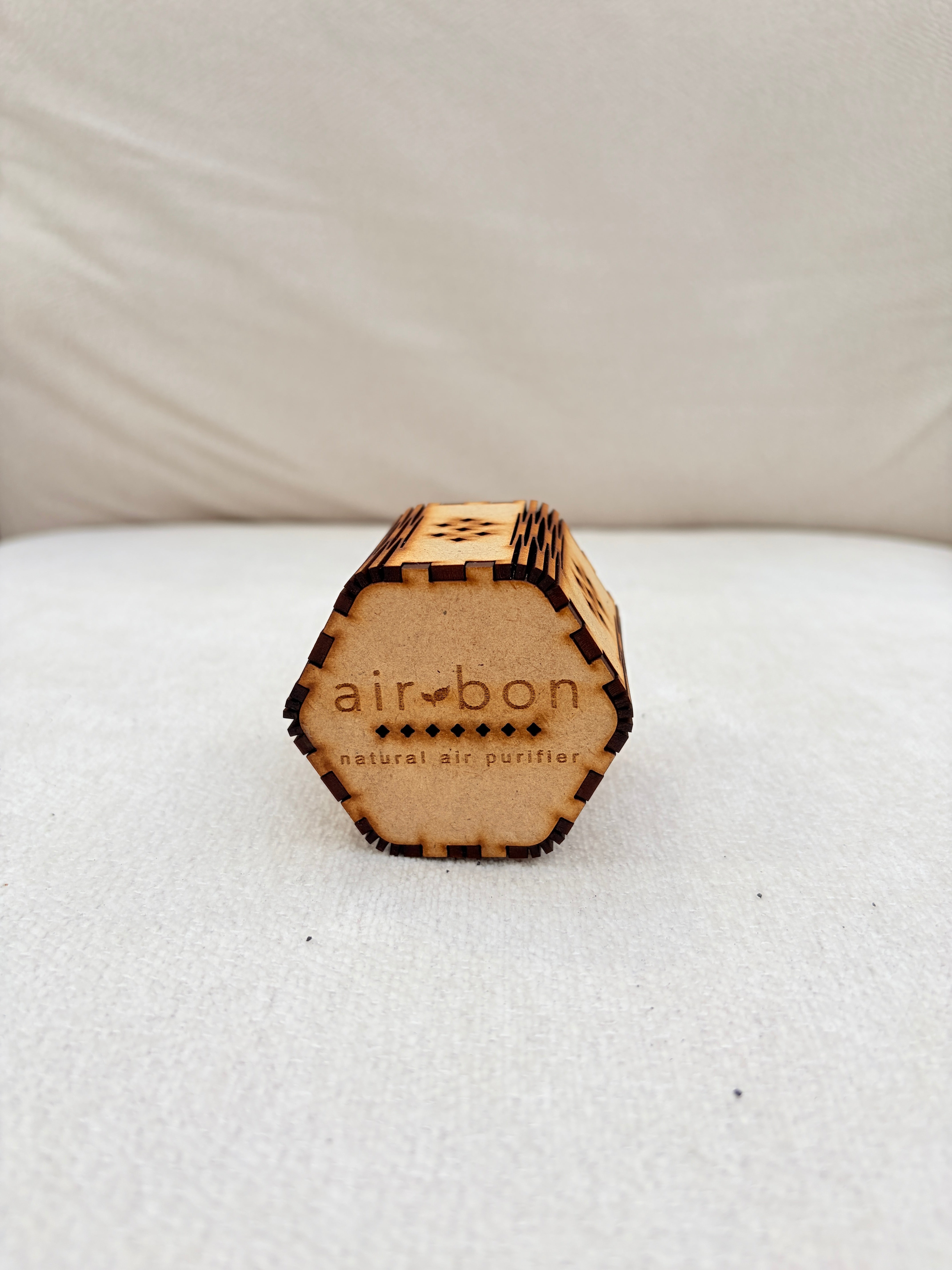 NATURAL AIR PURIFIERS FOR CAR